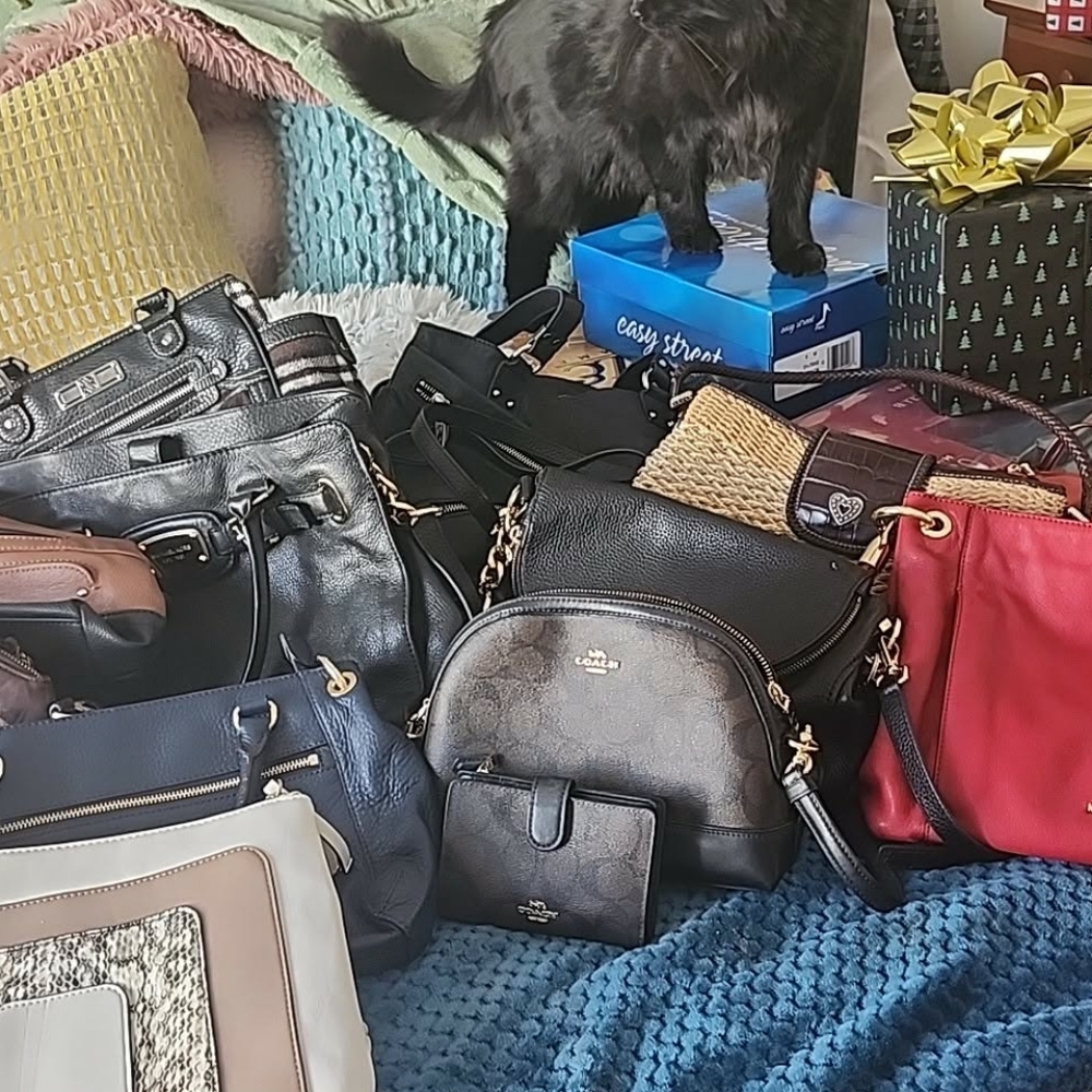 Michael Kors Bags ,Stone Mountains,Brahmin Bag. ALL COACH SOLD